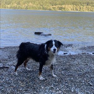 Meet your Posher, Dayna